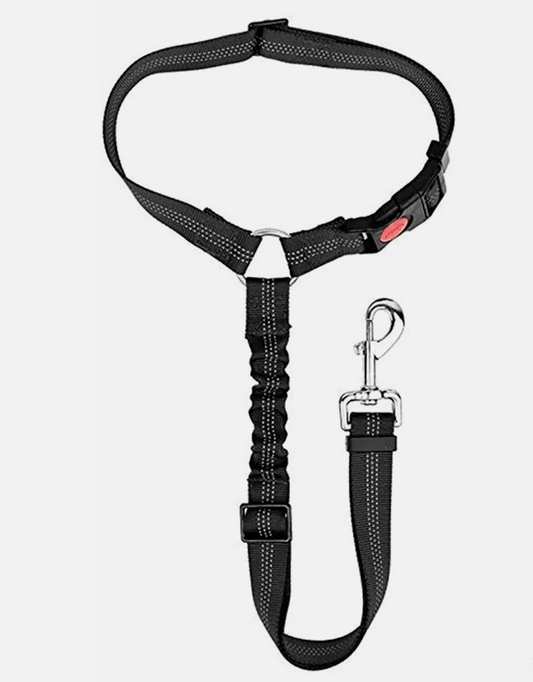 Dog Pet Leash Lead Waist Belt