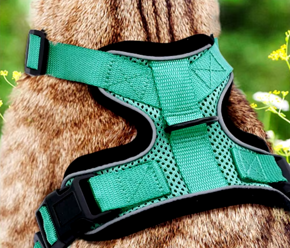 Cat Reflective Vest Harness