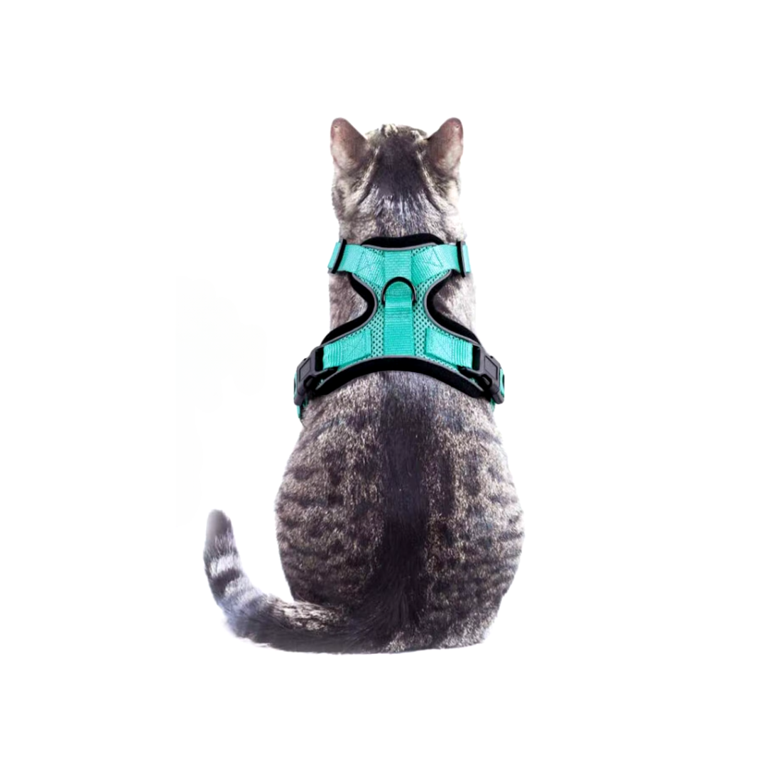 Cat Reflective Vest Harness