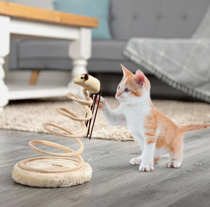 Pet Spiral Cat Toy & Claw Scratcher