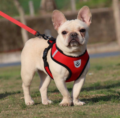 Mesh Harness & Lead