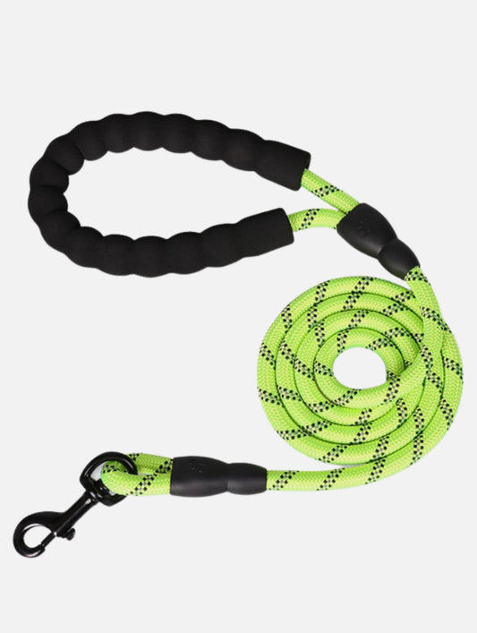 Braided Dog Lead - 5ft