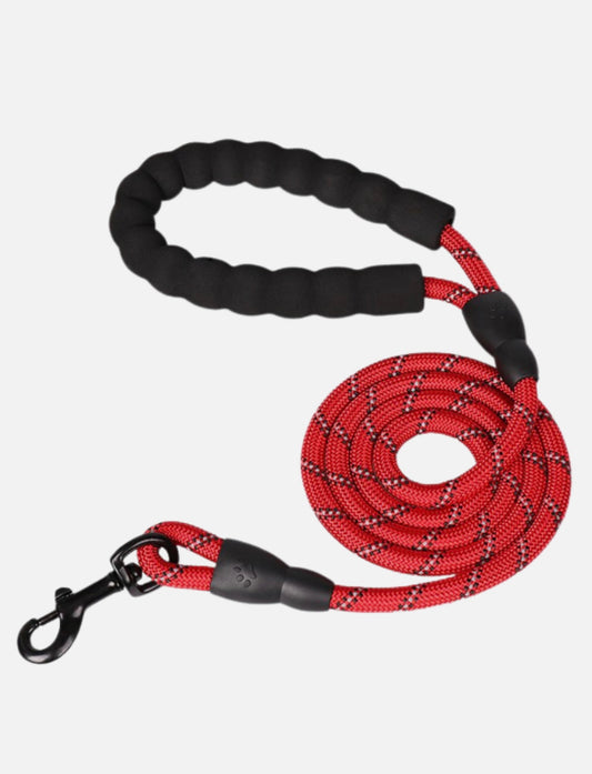 Braided Dog Lead - 5ft