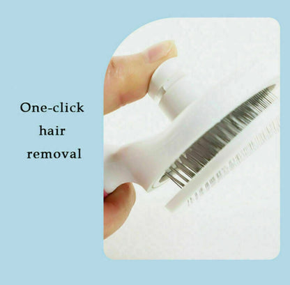 Self-cleaning Brush