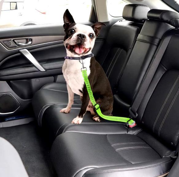 Anti-Shock Dog & Cat Seat Belt